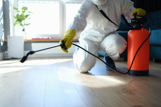 Reliable Sewage Cleanup contractor in Walsh, IL by Trauma Clean Pros
